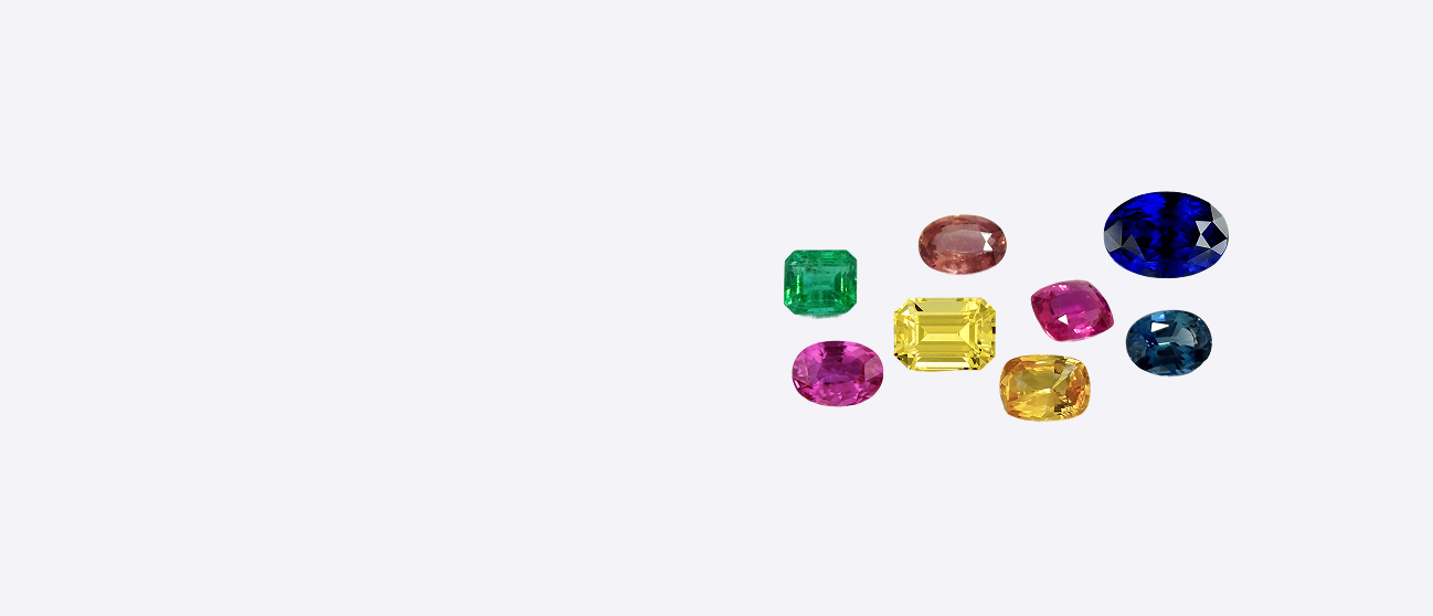 banner-image